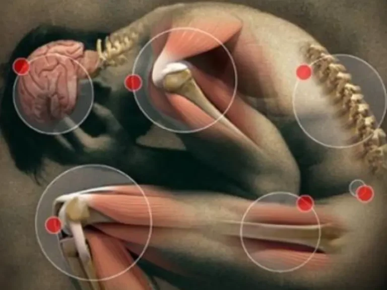 cover-regla-de-oro-de-la-cinturariesgo-coronario-elevadorcestobesidad-abdominalhipertensiyncalidad-de-vida